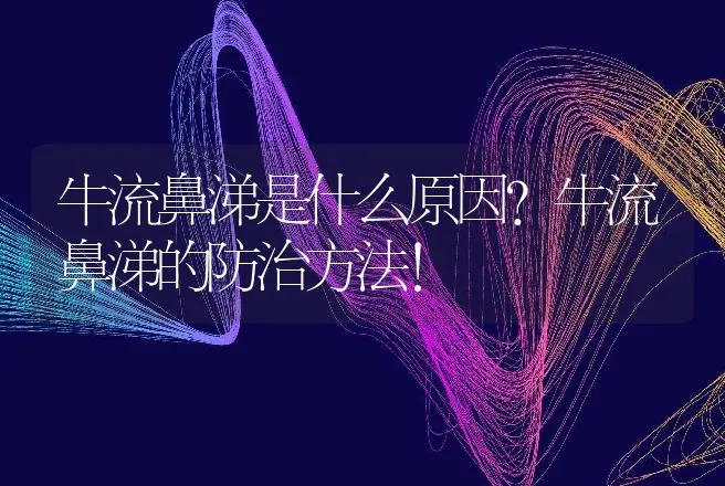 牛流鼻涕是什么原因？牛流鼻涕的防治方法！ | 兽医知识大全