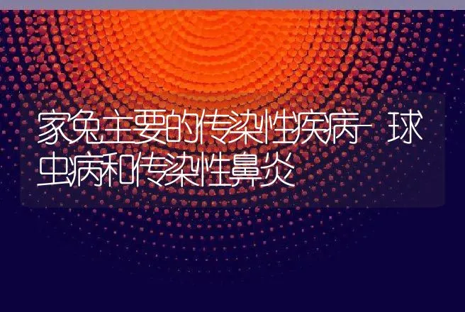 家兔主要的传染性疾病-球虫病和传染性鼻炎 | 动物养殖