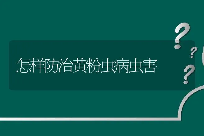 怎样防治黄粉虫病虫害 | 特种养殖