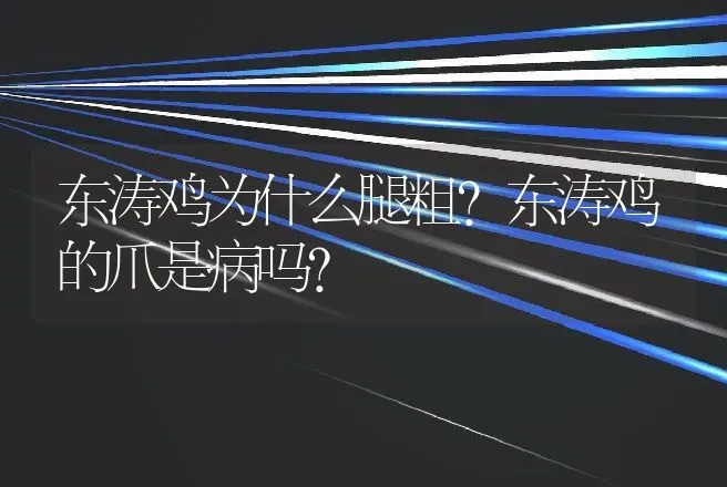 东涛鸡为什么腿粗？东涛鸡的爪是病吗？ | 动物养殖