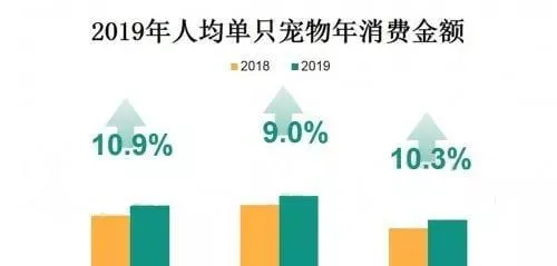 宠物医院“暴利”?你可能不知道，70%的宠物医院都在亏损 | 宠物行业洞察