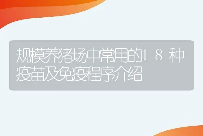 规模养猪场中常用的18种疫苗及免疫程序介绍 | 家畜养殖