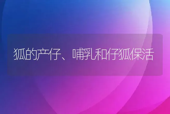 狐的产仔、哺乳和仔狐保活 | 动物养殖