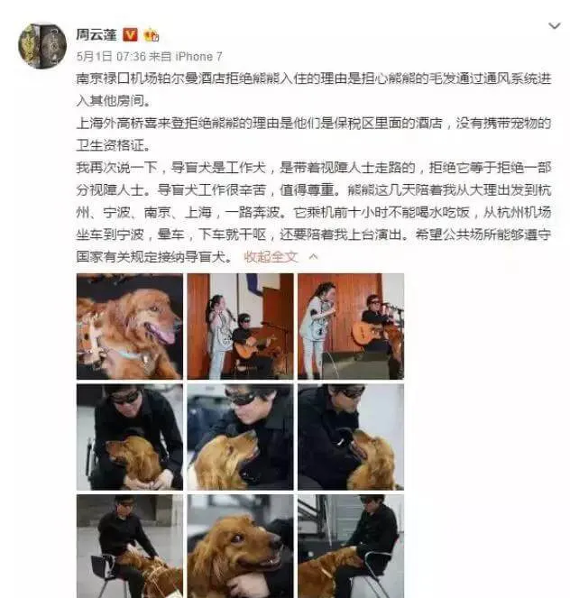 导盲犬进海底捞，配吗？ | 宠物新闻资讯