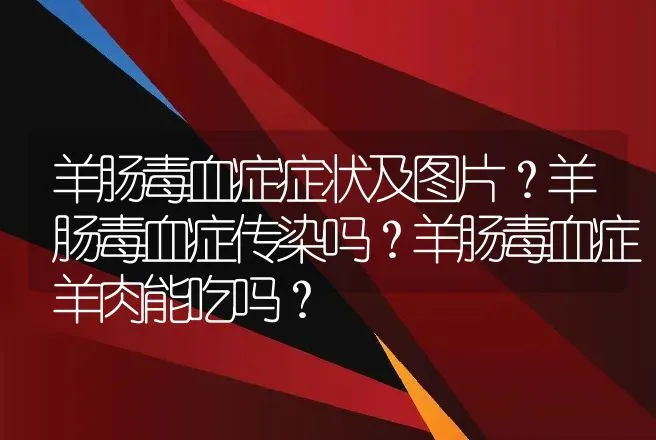 羊肠毒血症症状及图片？羊肠毒血症传染吗？羊肠毒血症羊肉能吃吗？ | 兽医知识大全