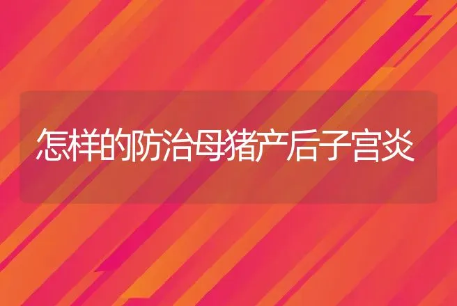 怎样的防治母猪产后子宫炎 | 动物养殖