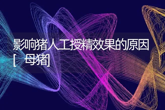 影响猪人工授精效果的原因[母猪] | 动物养殖