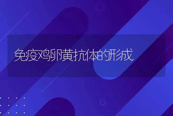 免疫鸡卵黄抗体的形成 | 动物养殖