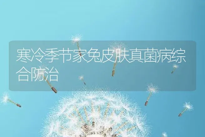 寒冷季节家兔皮肤真菌病综合防治 | 动物养殖