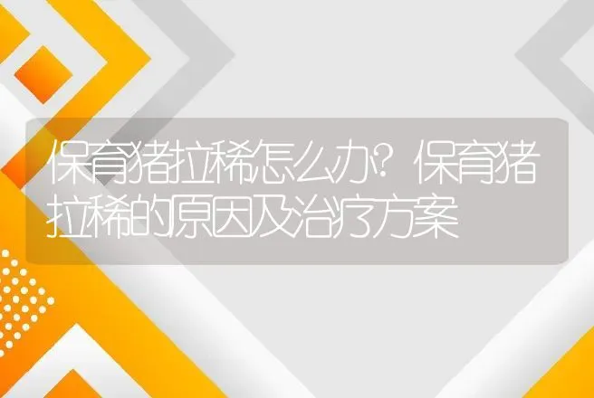 保育猪拉稀怎么办?保育猪拉稀的原因及治疗方案 | 兽医知识大全