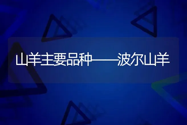 山羊主要品种――波尔山羊 | 动物养殖