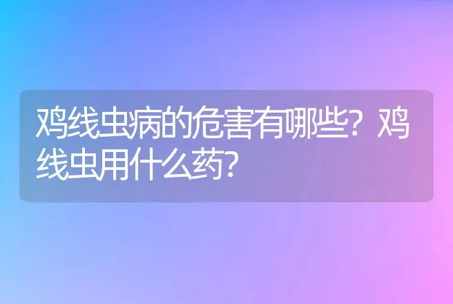 鸡线虫病的危害有哪些？鸡线虫用什么药？ | 兽医知识大全