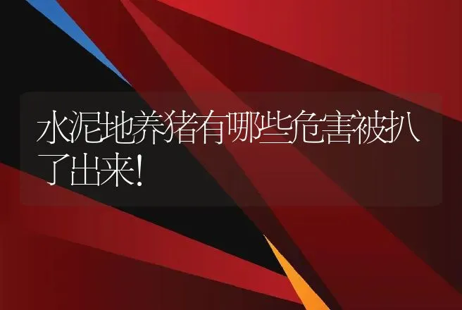 水泥地养猪有哪些危害被扒了出来！ | 家畜养殖