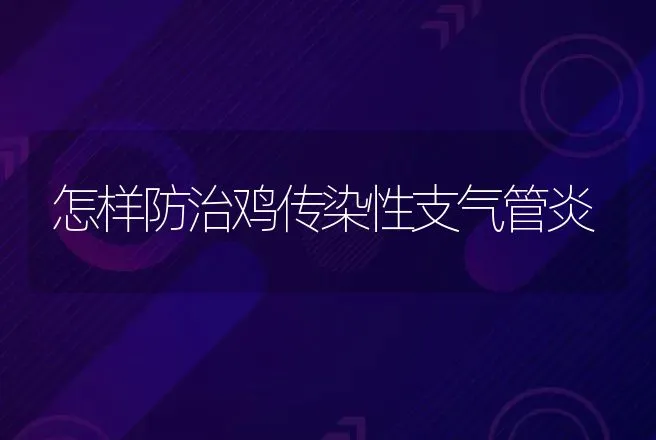 仔猪出生时的管理要点 | 动物养殖