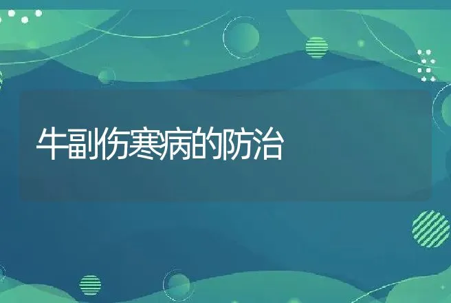 牛副伤寒病的防治 | 动物养殖