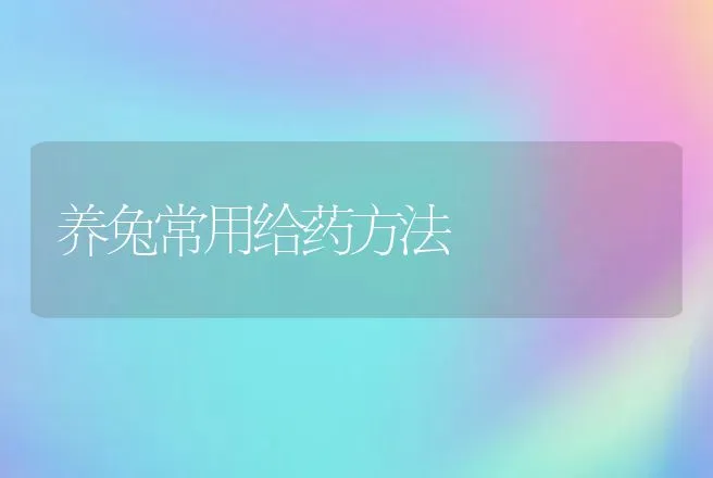 养兔常用给药方法 | 动物养殖