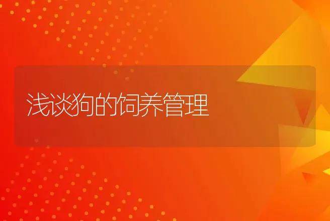 浅谈狗的饲养管理 | 动物养殖