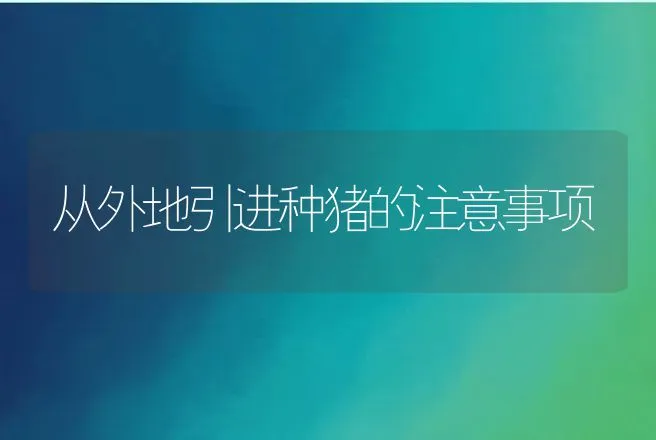 从外地引进种猪的注意事项 | 动物养殖