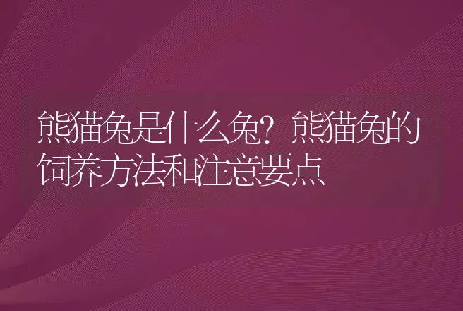 熊猫兔是什么兔？熊猫兔的饲养方法和注意要点 | 特种养殖