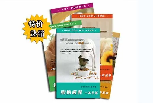 狗狗的牙齿要注意定期清洁【图】 | 宠物狗饲养