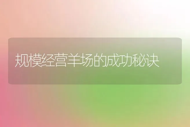 规模经营羊场的成功秘诀 | 动物养殖