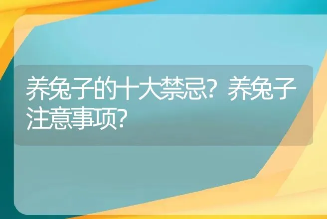 养兔子的十大禁忌？养兔子注意事项？ | 特种养殖