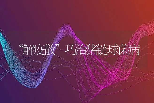 “解疫散”巧治猪链球菌病 | 动物养殖