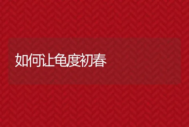 鳜鱼暴发性病毒病主要症状 | 动物养殖