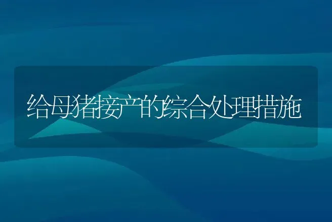 海参网箱生态育苗质量优于室内苗 | 动物养殖