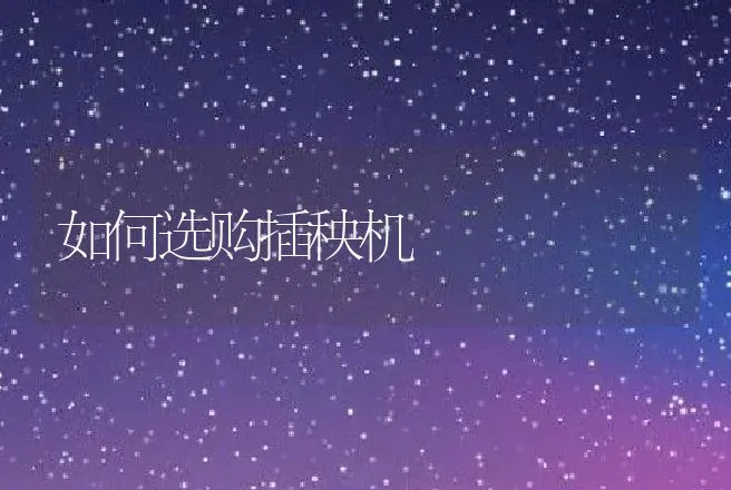 如何选购插秧机 | 养殖