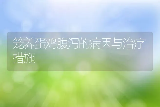 笼养蛋鸡腹泻的病因与治疗措施 | 动物养殖