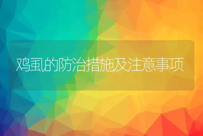 鸡虱的防治措施及注意事项 | 动物养殖