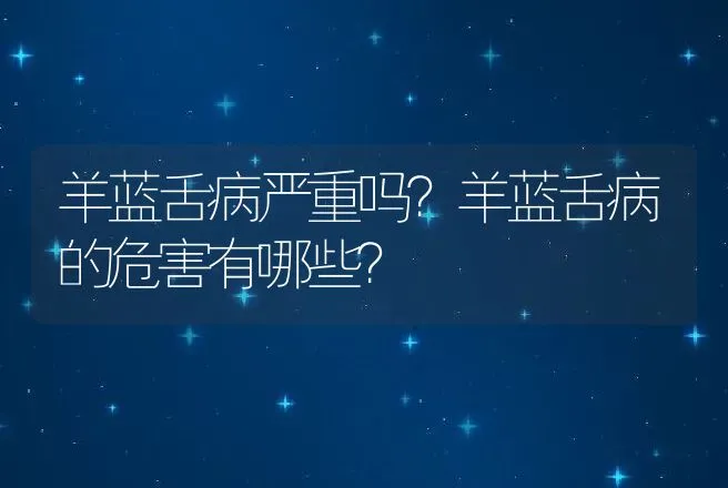 羊蓝舌病严重吗？羊蓝舌病的危害有哪些？ | 家畜养殖