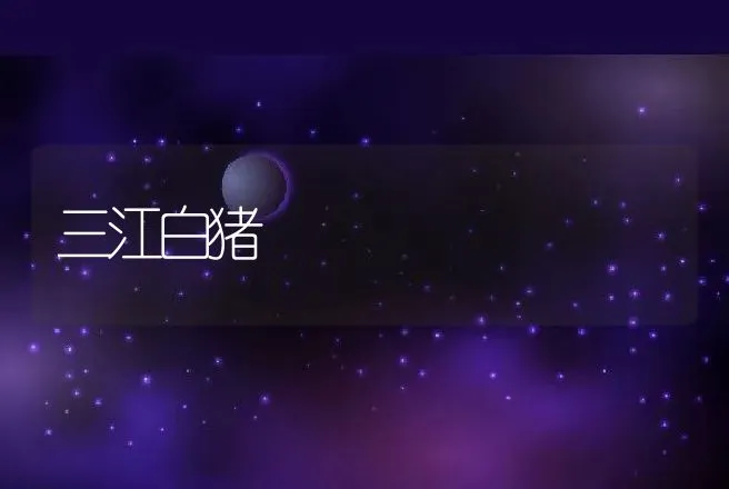 三江白猪 | 动物养殖