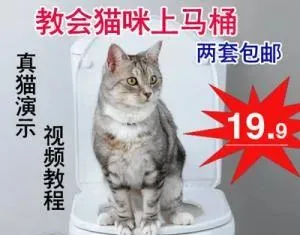 让猫咪像人一样蹲厕所是害猫！多久铲屎一次对猫最好？ | 宠物训练技巧