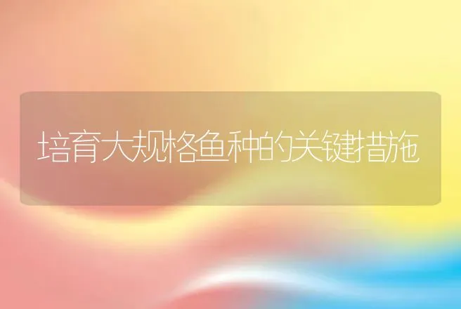 培育大规格鱼种的关键措施 | 动物养殖