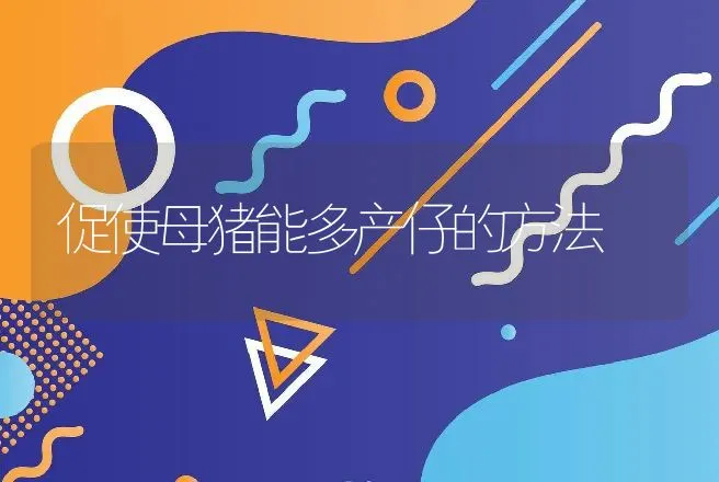 促使母猪能多产仔的方法 | 动物养殖