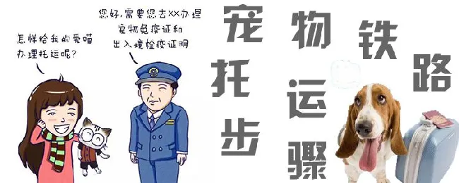 宠物铁路托运步骤 | 宠物病虫害防治