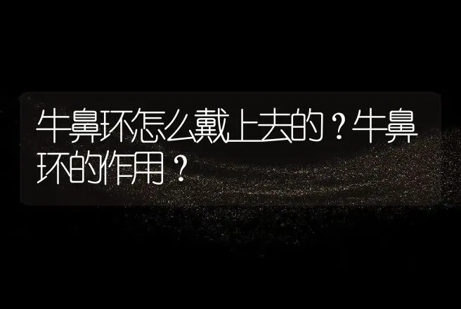 牛鼻环怎么戴上去的？牛鼻环的作用？ | 家畜养殖