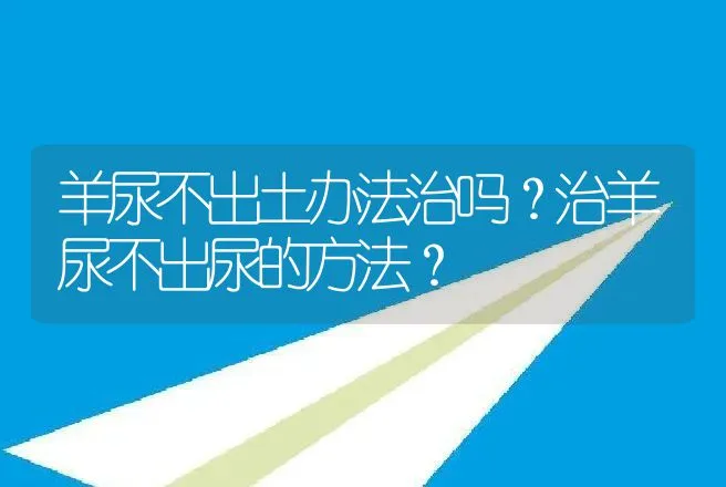 羊尿不出土办法治吗？治羊尿不出尿的方法？ | 兽医知识大全