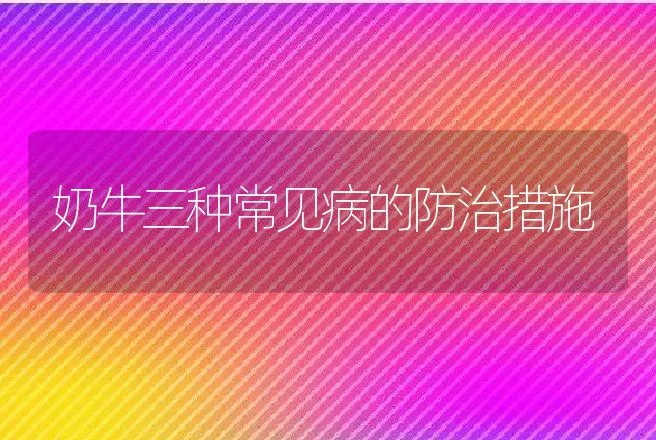 奶牛三种常见病的防治措施 | 动物养殖