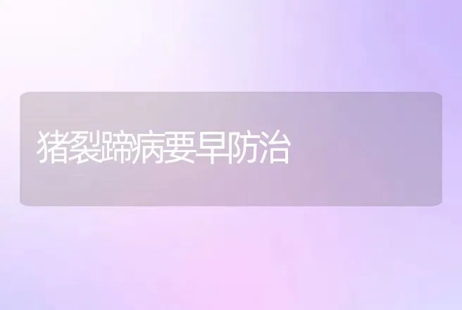 猪裂蹄病要早防治 | 动物养殖