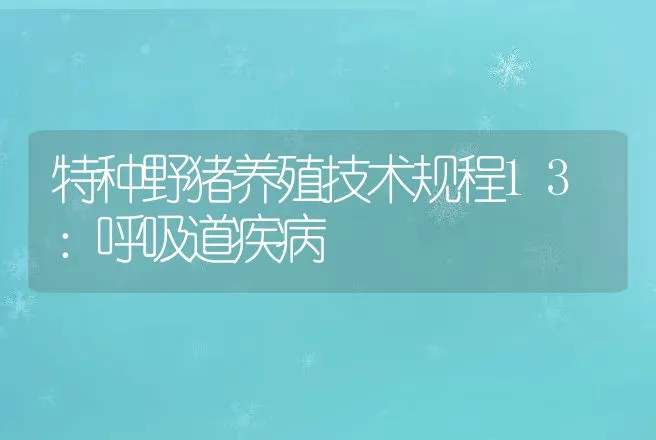 特种野猪养殖技术规程13：呼吸道疾病 | 动物养殖