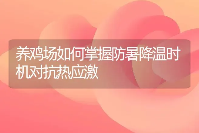 养鸡场如何掌握防暑降温时机对抗热应激 | 动物养殖