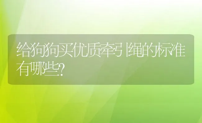 给狗狗买优质牵引绳的标准有哪些? | 宠物猫