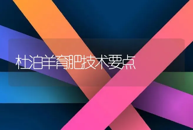 杜泊羊育肥技术要点 | 家畜养殖