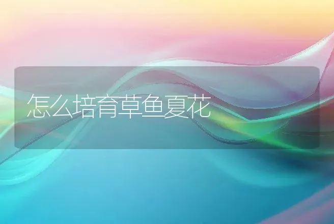 鸡传染性贫血―防治 | 动物养殖