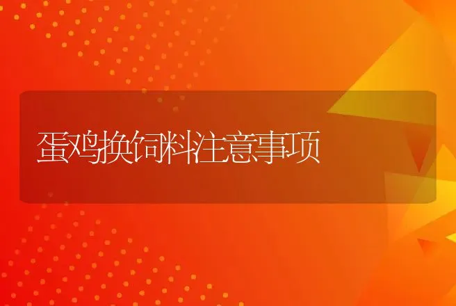 养奶牛需要学的养牛技术，尤其这五点 | 家畜养殖