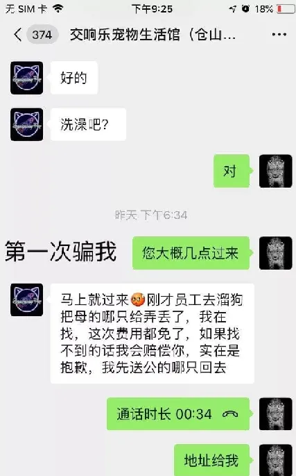 一家黑心的宠物店，到底让多少可爱的生命葬送于此! | 宠物新闻资讯