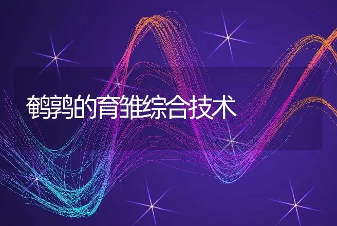 鹌鹑的育雏综合技术 | 动物养殖